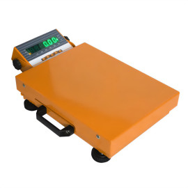 Portable Scales